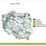 Świat roślinny i zwierzęcy w Polsce
